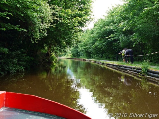 A peaceful ride in the horse barge
