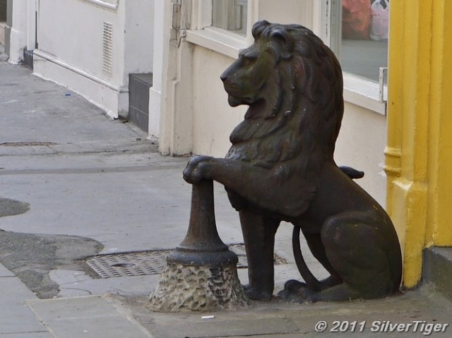 Lion guarding a shop